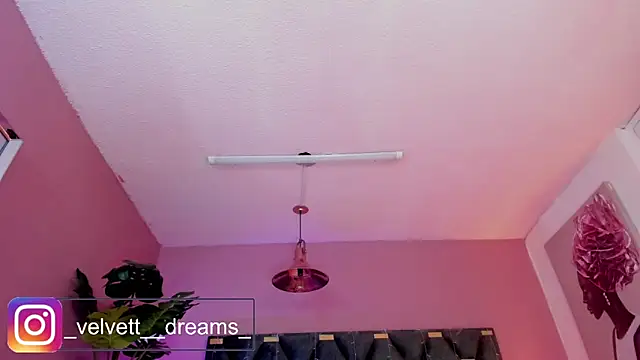 Velvet Dreamss online show from May 27, 11:51 am