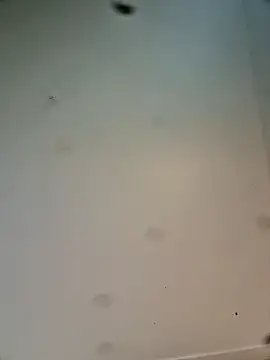 Snapshot of Hardwarelane67 chatting on March 23, 12:09 pm Hardwarelane67 online show from March 23, 12:09 pm