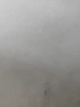 fpic online show from February 7, 4:22 pm