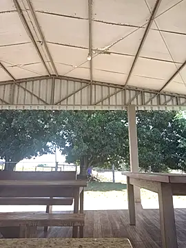 nori dunda online show from July 18, 3:16 pm