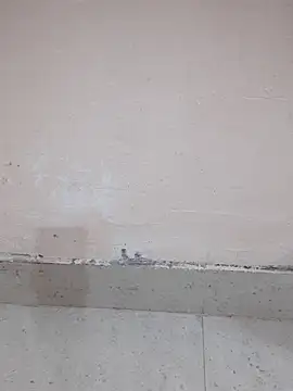 Alli8900 online show from March 19, 4:11 pm