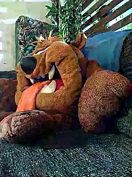 Pirulaibe23 online show from December 18, 7:20 pm