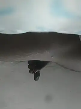 hunter379 online show from December 3, 9:40 am