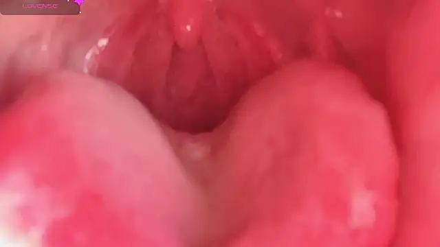 LT-333 online show from February 10, 4:33 pm