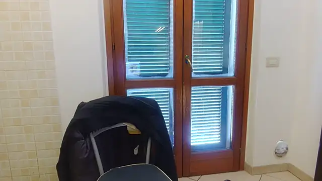 AMIRDIB2025 online show from February 21, 10:27 am