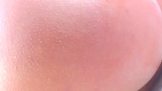 lorenaanalx online show from February 1, 2:59 pm