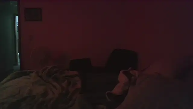 dixielover1229 online show from December 16, 4:06 am