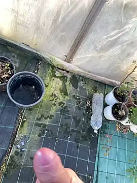 marcoboss online show from January 14, 1:50 pm