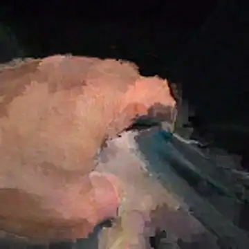 abmelken online show from April 15, 11:17 am