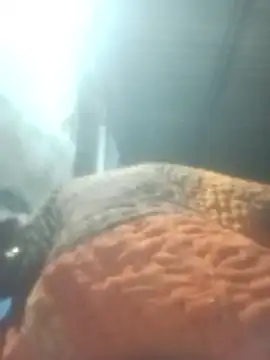 Pinki rajak online show from January 11, 7:08 pm