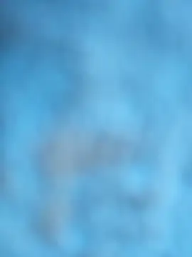 layanehot online show from December 21, 6:26 pm