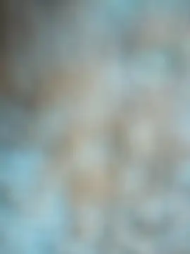 layanehot online show from December 22, 9:06 am