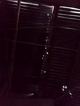 Snapshot of Ardo1899 chatting on February 17, 11:40 am Ardo1899 online show from February 17, 11:40 am