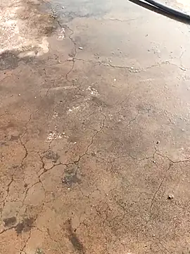 RAJE hot online show from January 14, 4:51 am