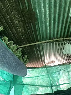 Hot2602 online show from April 10, 6:07 am