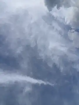 Ema Rose  online show from April 18, 9:48 pm