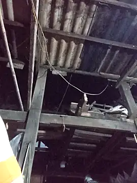 dakota-kis online show from March 30, 11:44 am