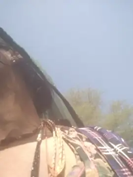 hornycouple20000 online show from February 5, 5:01 am