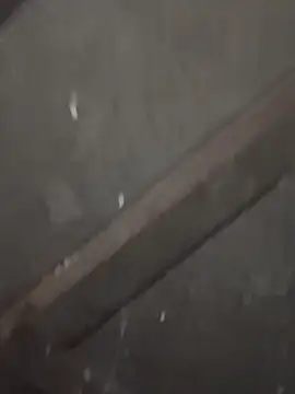 Snapshot of daksh__8_inche chatting on February 4, 10:04 pm daksh 8 inche online show from February 4, 10:04 pm