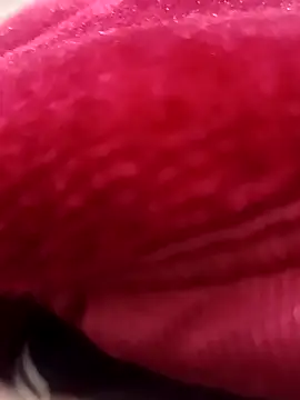 Snapshot of daksh__8_inche chatting on February 7, 8:34 pm daksh 8 inche online show from February 7, 8:34 pm