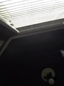 Snapshot of Derrick7799 chatting on February 21, 8:21 pm Derrick7799 online show from February 21, 8:21 pm