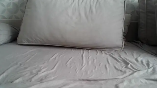 apollo81 online show from February 18, 9:49 am