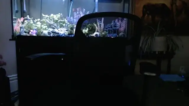 EspanolVato online show from March 5, 11:45 pm