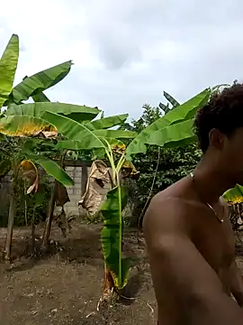 Wild and Sweets online show from January 18, 6:23 pm