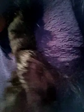 Queen chayna online show from January 16, 10:47 pm