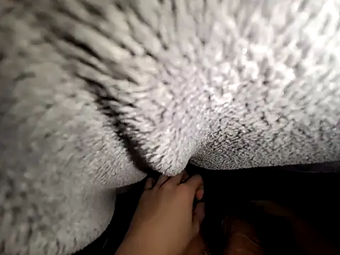 pelseae3721 online show from February 12, 2:01 pm