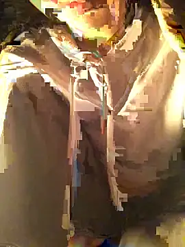 Snapshot of Minhkhue121 chatting on February 4, 1:33 am Minhkhue121 online show from February 4, 1:33 am