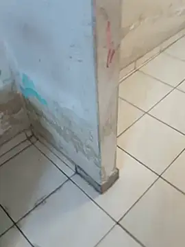     gozada---- online show from January 8, 6:43 pm