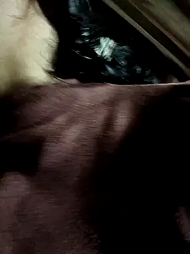 yu--yo online show from March 21, 3:44 am