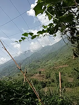 yu--yo online show from May 16, 12:40 am