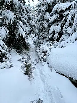 Snapshot of Marina_und_Jayden chatting on February 18, 2:24 pm Marina und Jayden online show from February 18, 2:24 pm