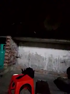 cdyyds-69 online show from February 2, 10:41 pm