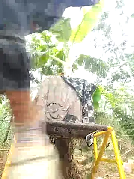 leona118 online show from April 9, 1:49 am