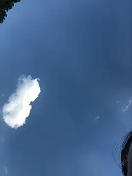 sun-shii online show from April 9, 9:47 am