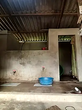 -Likin- online show from March 31, 9:32 am