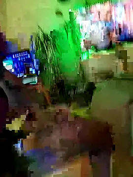 AssuringHarness166 online show from April 7, 1:11 pm