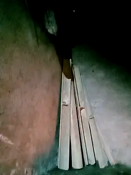 Diana-02 online show from March 24, 11:15 am