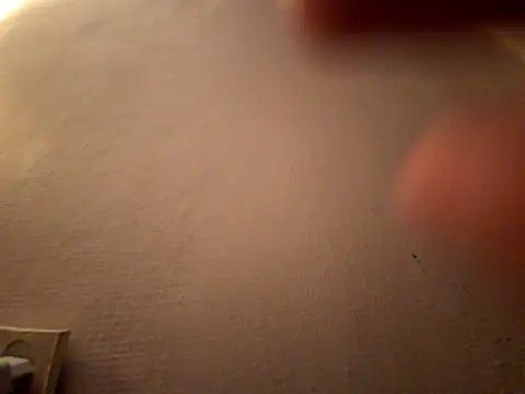 Snapshot of DanekBear chatting on April 14, 10:38 pm DanekBear online show from April 14, 10:38 pm