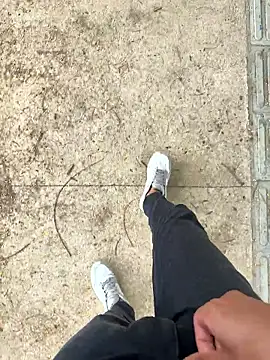 Novinho Pauzudo 18cm online show from February 24, 3:43 pm