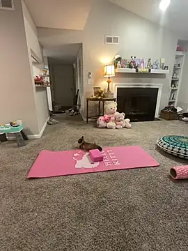 Snapshot of Pink_mink21 chatting on February 3, 3:48 am Pink mink21 online show from February 3, 3:48 am