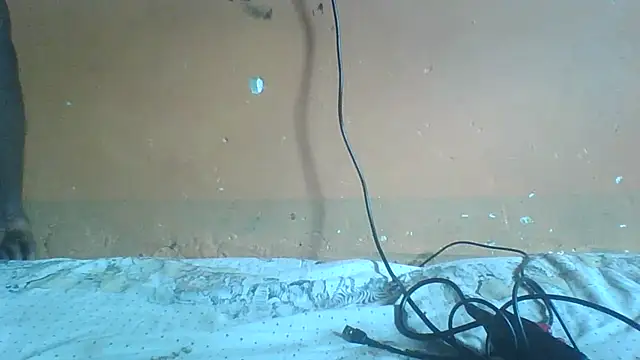 Sexyass100 online show from April 20, 12:52 pm