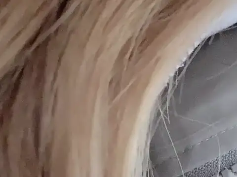 dingding-520 online show from March 4, 1:06 pm