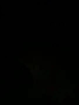 tyd247 online show from March 28, 3:11 pm