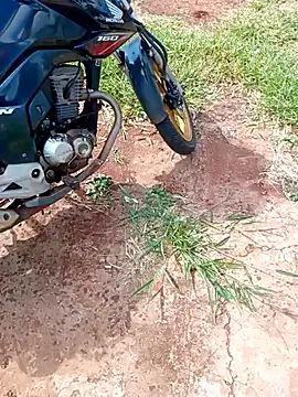 Snapshot of negrim10 chatting on February 10, 12:31 pm negrim10 online show from February 10, 12:31 pm