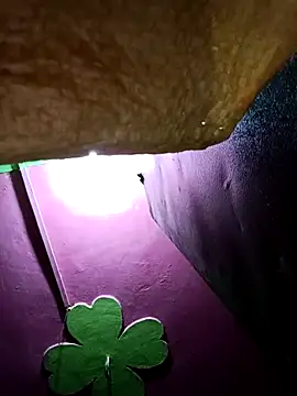 Riyakumari hot66 online show from February 19, 3:19 pm