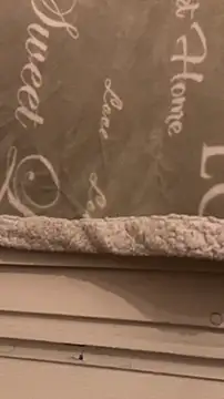 BadyAndShay5 online show from March 22, 10:46 pm